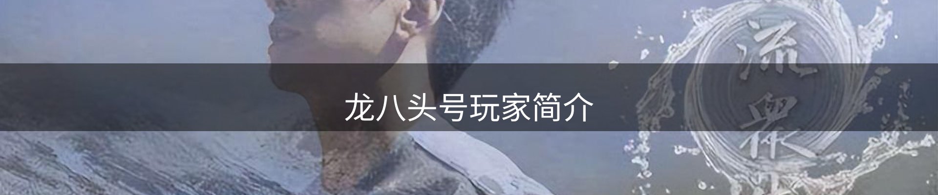 龙八头号玩家简介