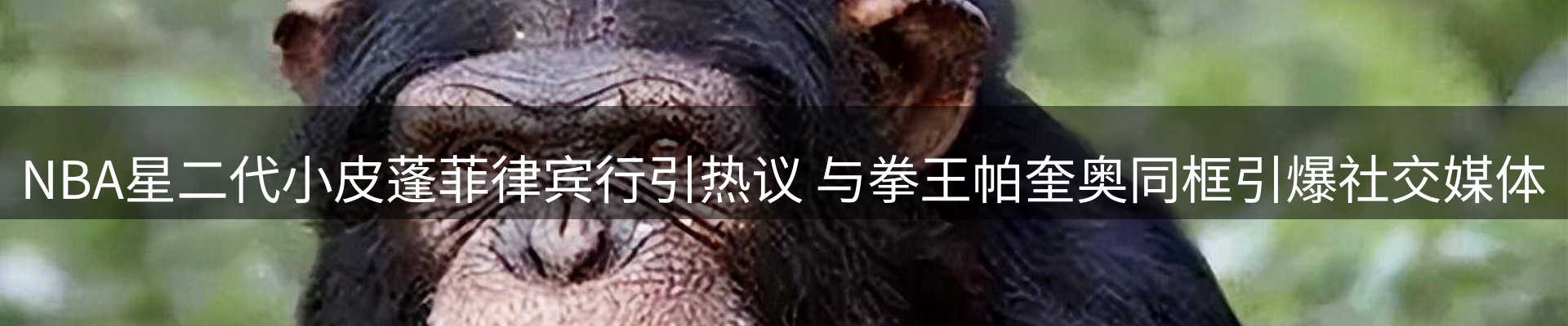 最新资讯